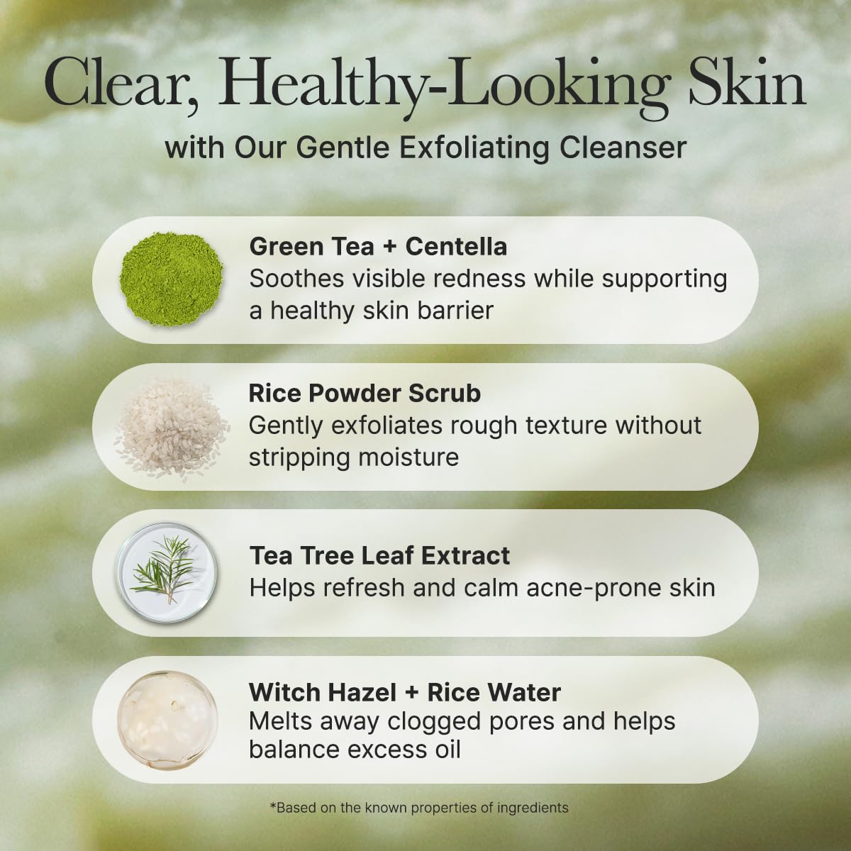 ARENCIA Korean Rice Mochi Limpiador facial y exfoliante diario